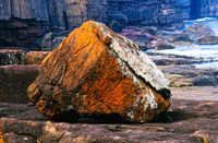 SC111 City Rock area, Ben Boyd National Park NSW